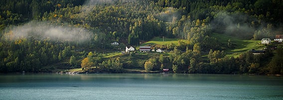 Skog og en gård ved sjøen